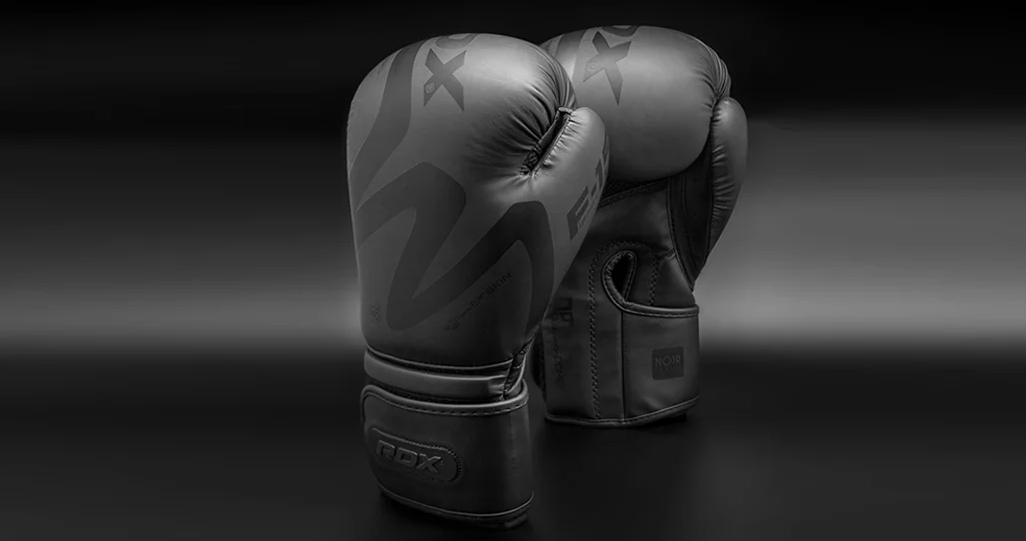 Boxing store gloves 2019